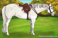 Horse Color:Smoky Creme Roan Dun Splash