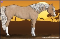 Horse Color:Silver Buckskin Roan Splash 