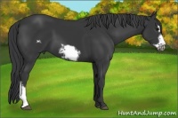 Horse Color:Black Frame