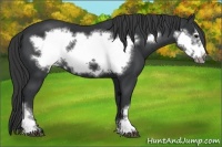 Horse Color:Black Frame