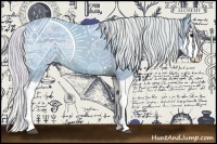 Horse Color:Watercolor Silver Black Splash 