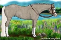Horse Color:Silver Smoky Blue Roan Splash