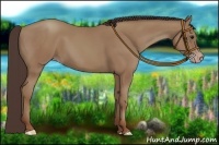 Horse Color:Classic Champagne 