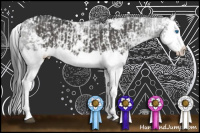 Horse Color:Black Sabino Splash and Black Sabino Splash