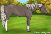 Horse Color:Silver Black 