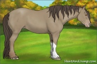 Horse Color:Classic Cream Champagne