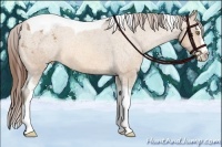 Horse Color:Amber Champagne Splash Tobiano Appaloosa Rabicano 
