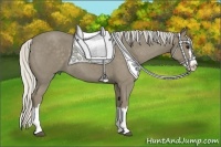 Horse Color:Silver Smoky Blue Roan Splash 