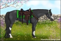 Horse Color:Black and Black