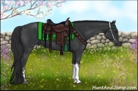 Horse Color:Black and Black