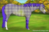 Horse Color:Watercolor Plaid  Bay Rabicano 