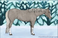 Horse Color:Silver Smoky Blue Roan Splash 