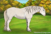 Horse Color:Smoky Creme Sabino  Brindle