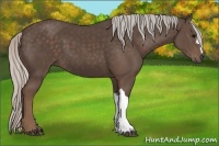 Horse Color:Silver Black 