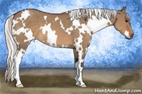 Horse Color:White Spotted Silver Brown Dun