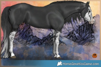Horse Color:Black Splash  and Black Splash 