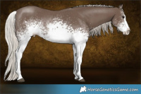Horse Color:White Spotted Silver Black Splash 