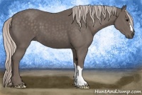 Horse Color:Silver Black 