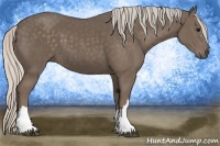 Horse Color:Silver Black 