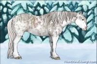 Horse Color:Silver Black Ice Sabino Splash 