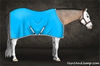 Horse Color:Buckskin Roan Sabino Splash