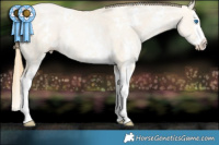 Horse Color:White Spotted Smoky Grullo Pearl Sabino Splash 
