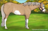 Horse Color:Silver Bay Roan Dun Splash Frame Rabicano