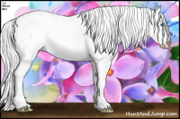 Horse Color:Gray Gold Cream Champagne Pearl Dun Splash 