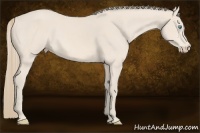 Horse Color:Perlino Sabino 