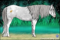 Horse Color:Black Ice Splash Appaloosa 