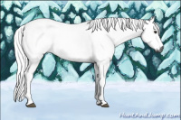 Horse Color:Gray Silver Brown Tobiano