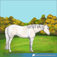 Horse Color:Silver Perlino Dun Tobiano 