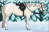 Horse Color:Smoky Creme Dun Tobiano 