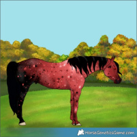 Horse Color:ERROR: UNKNOWN ANOMALY