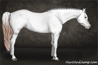 Horse Color:White Spotted Black Splash Tobiano Frame Appaloosa