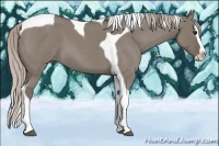 Horse Color:Silver Grullo Roan Splash Tobiano 