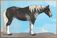 Horse Color:White Spotted Liver Chestnut Tobiano 