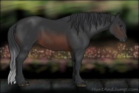 Horse Color:Brown Sabino 