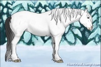 Horse Color:White Spotted Smoky Black Tobiano