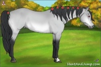 Horse Color:Bay Chinchilla 