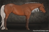 Horse Color:Silver Bay 