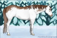 Horse Color:Chestnut Sabino Splash Frame Rabicano 