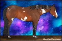 Horse Color:White Spotted Bay Frame 
