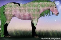 Horse Color:Watercolor Plaid Buckskin Ice Tobiano