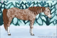 Horse Color:Chestnut Ice Splash 