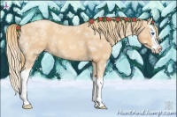 Horse Color:Gold Champagne Ice Roan Splash 