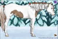 Horse Color:Liver Red Dun Splash Tobiano 