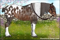 Horse Color:Liver Chestnut Tobiano Blanket 