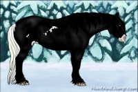 Horse Color:Watercolor Silver Blue Roan Pearl Appaloosa