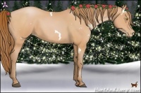 Horse Color:White Spotted Bay Pearl 